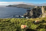 Kerry Cliffs Portmagee Kerry Ireland